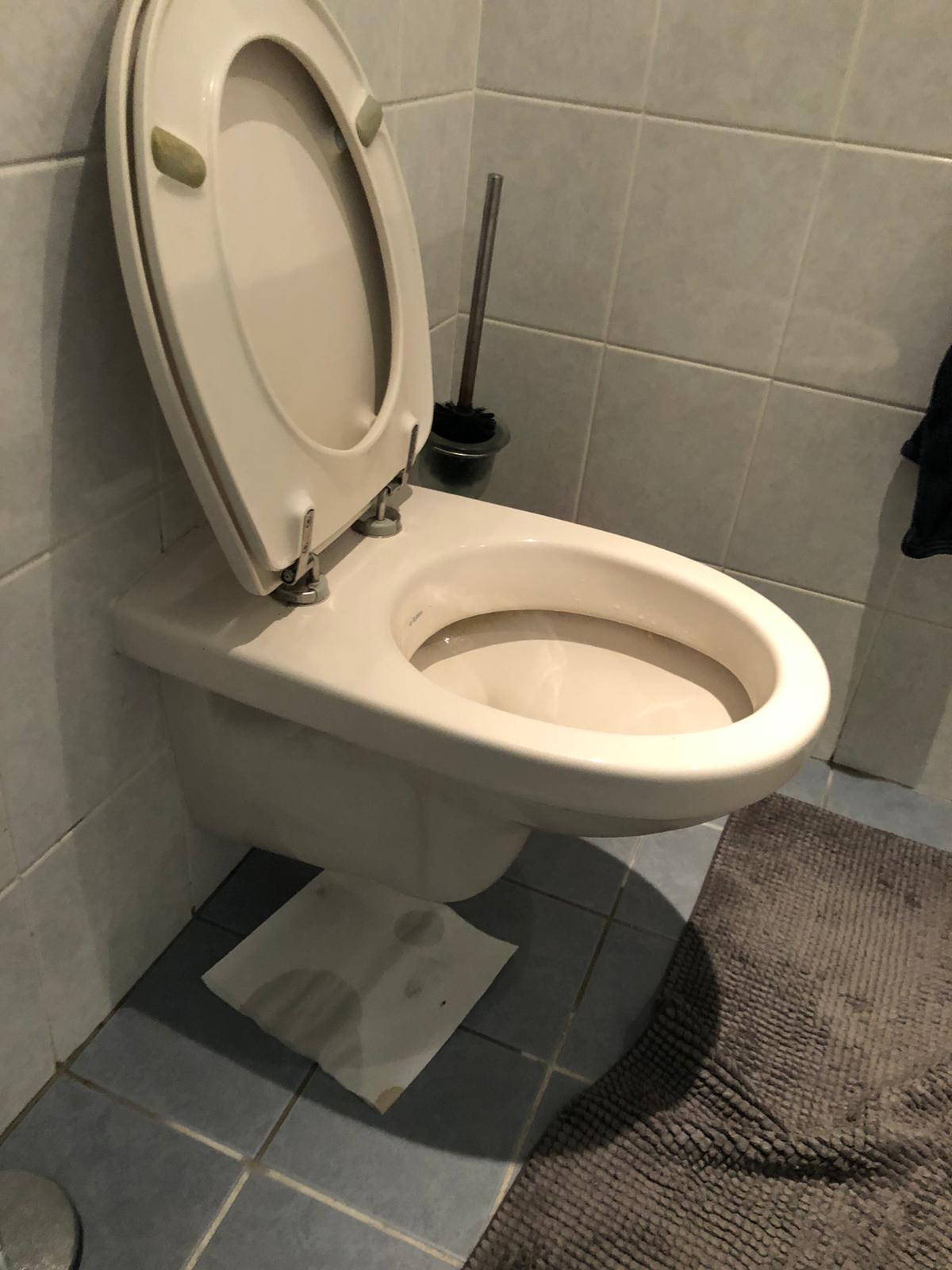 hangtoilet Ulft